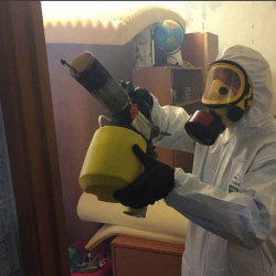 Уничтожение клопов в квартире. Коммунарка